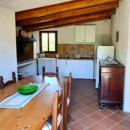 Con Decorazione Marittima Immersa Nel *