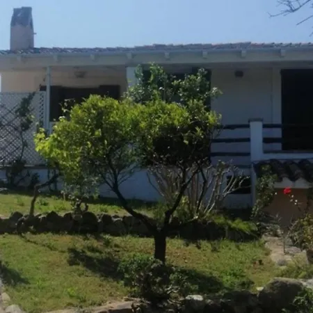 Con Decorazione Marittima Immersa Nel * Notteri